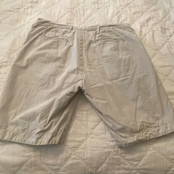 The Griffin - Picture 2 of 2